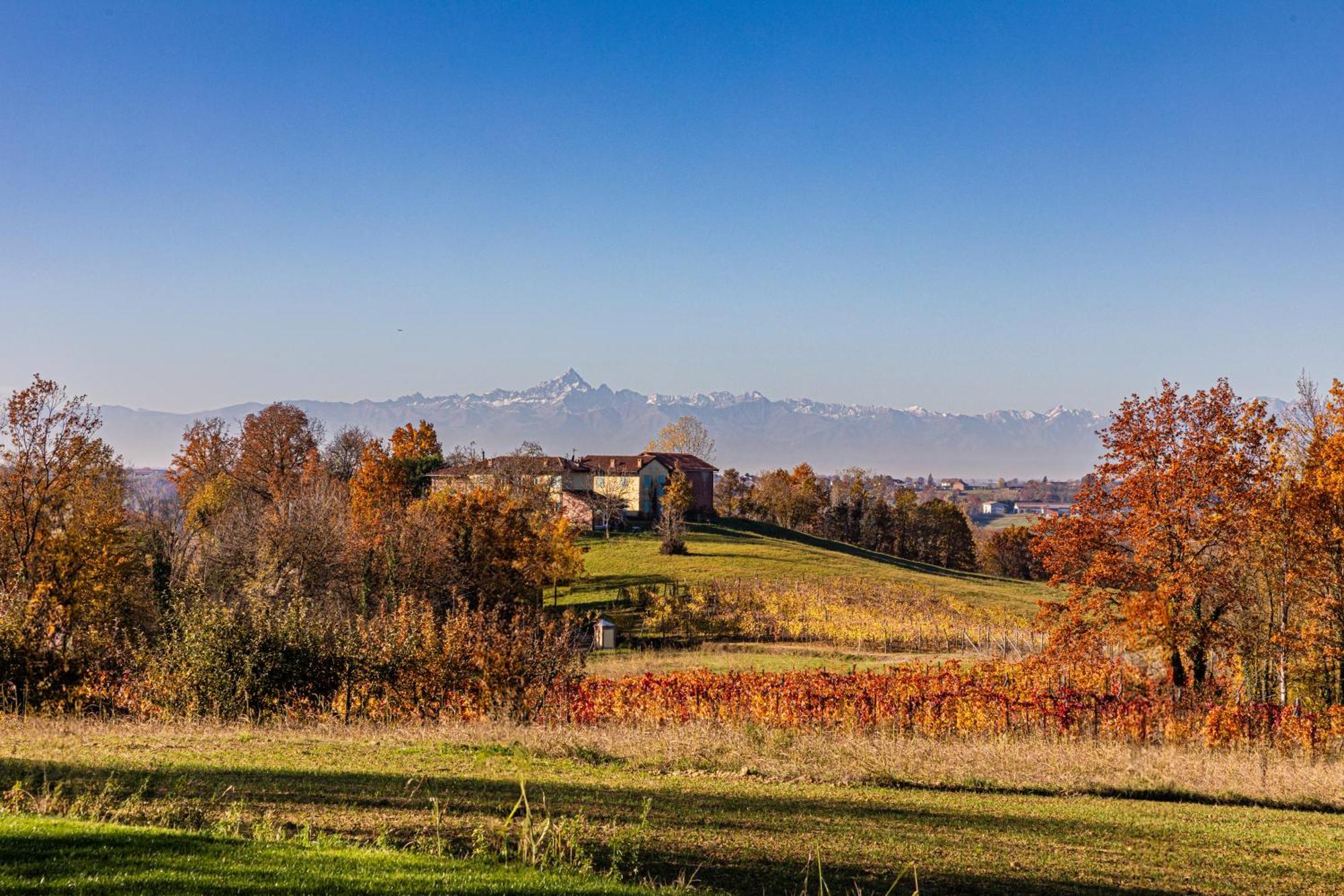 Cascina Rueral Villa Montafia Eksteriør billede